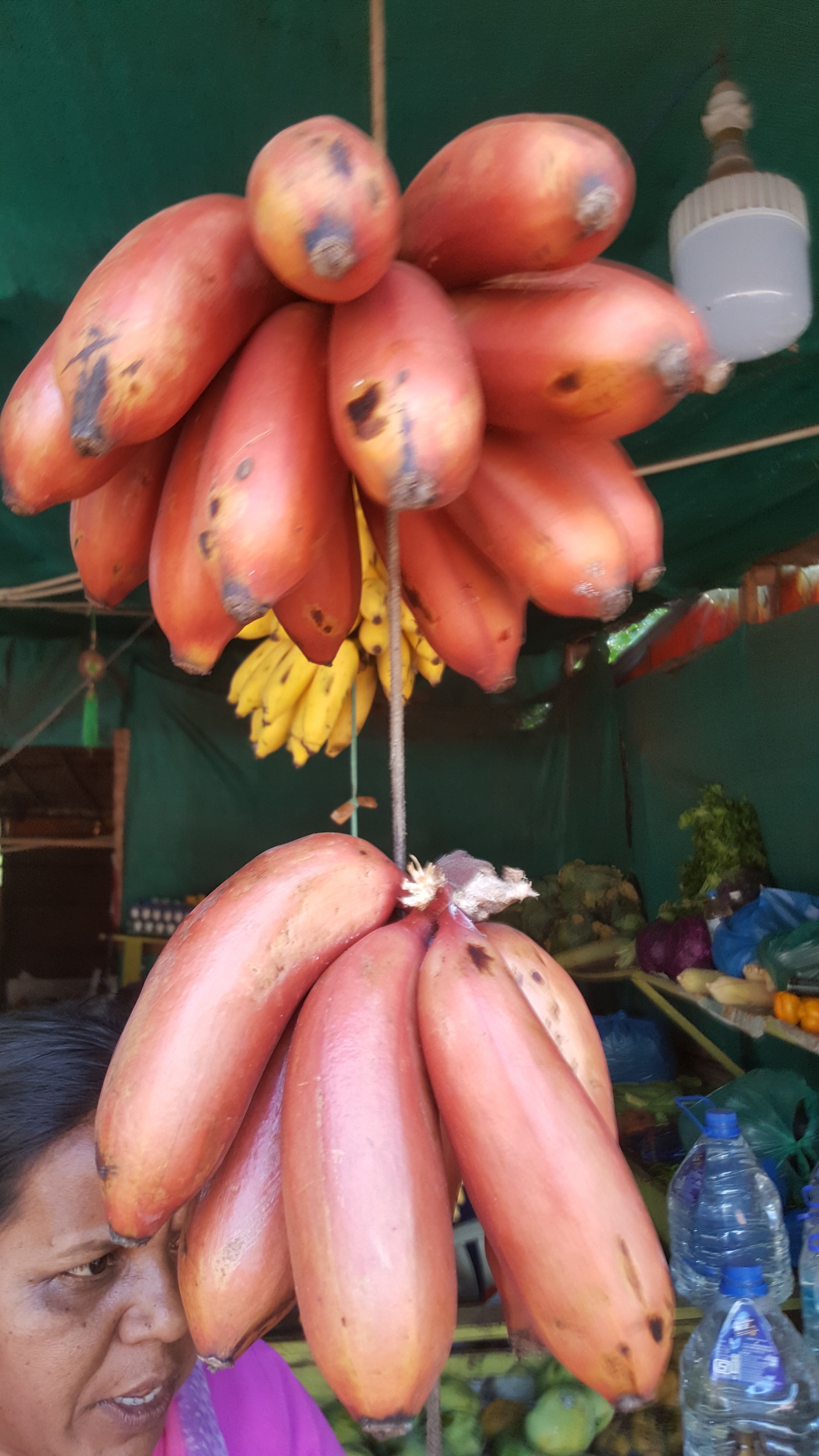 Punased banaanid